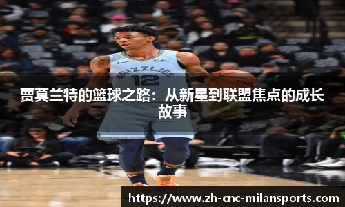 米兰体育·「中国」官方网站-AC MILANSPORTS
